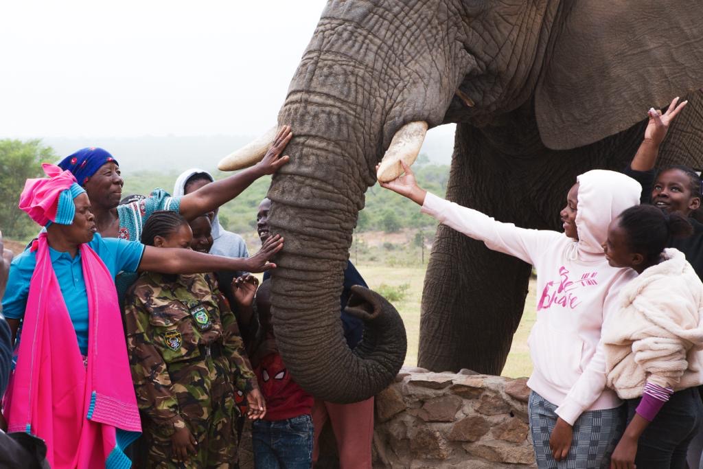 Wildlife Education Programs